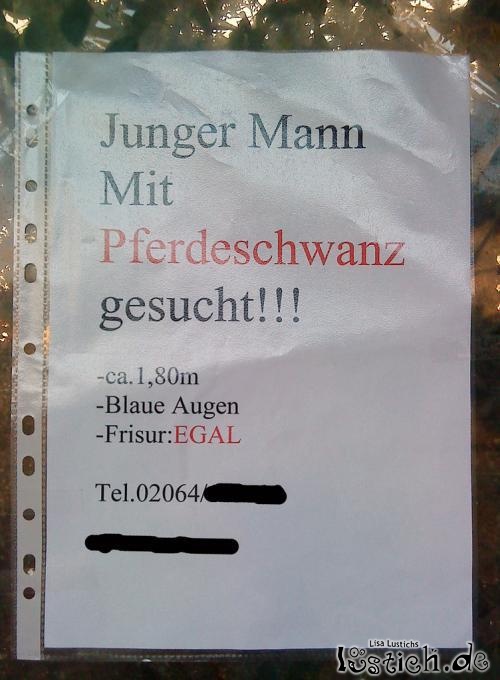 Junger Mann mit Pferdeschwanz gesucht Junger Mann mit Pferdeschwanz gesucht