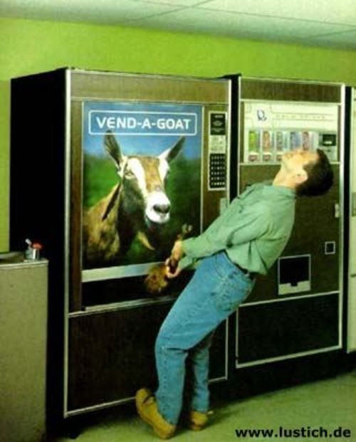 Ziegen-Automat Ziegen-Automat