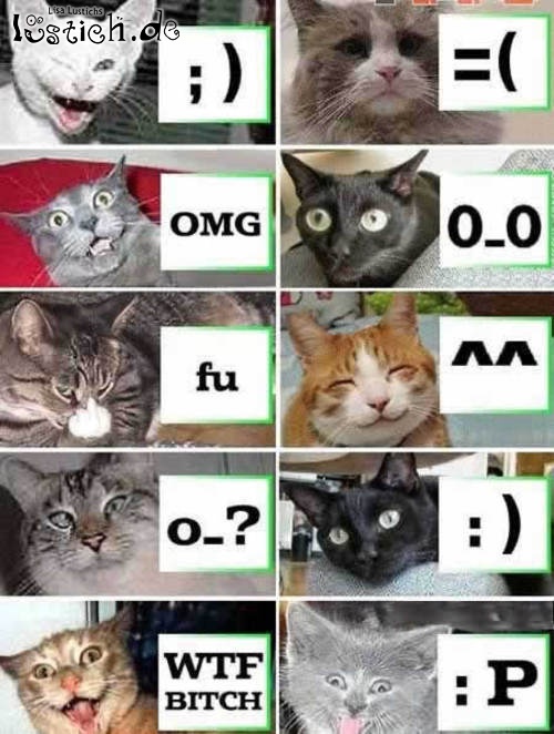 Katzen-Smileys Katzen-Smileys