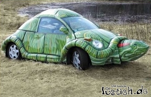 Schildkrötenauto Schildkrötenauto