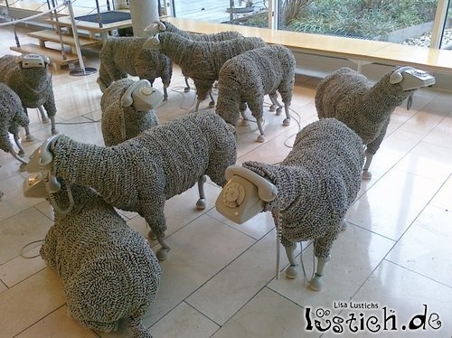 Echt Schaf