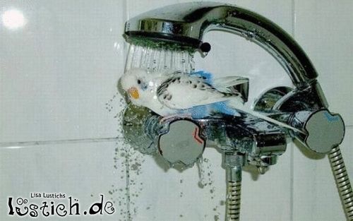 Eine Dusche