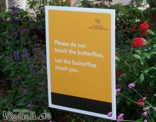 Berühre nicht die Schmetterlinge