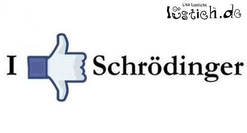 Schrödinger bei Facebook