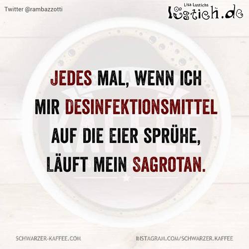 51604-sagrotan.jpg
