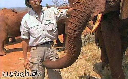 Grabscher-Elefant