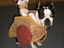 Hund mit Streitwagen