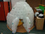 Recycling Iglu