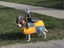 Hund mit Ritter