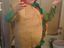 Taco Kostüm Taco Kostüm