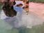 Urlaub im Pool