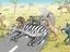 Zebrastreifen in Afrika