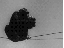 Alles egal (gif)
