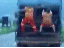 Spaß bei der Arbeit (gif)