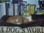 Eine Hundwelt?