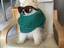 Echt cooler Hund