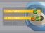 Bumperball