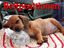 Bettpositionen