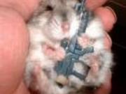 Hamstersack