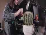 Kaktus Beats