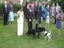 Hund pinkelt Braut an