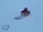 Hund klaut Schlitten