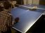 Ping Pong Katze